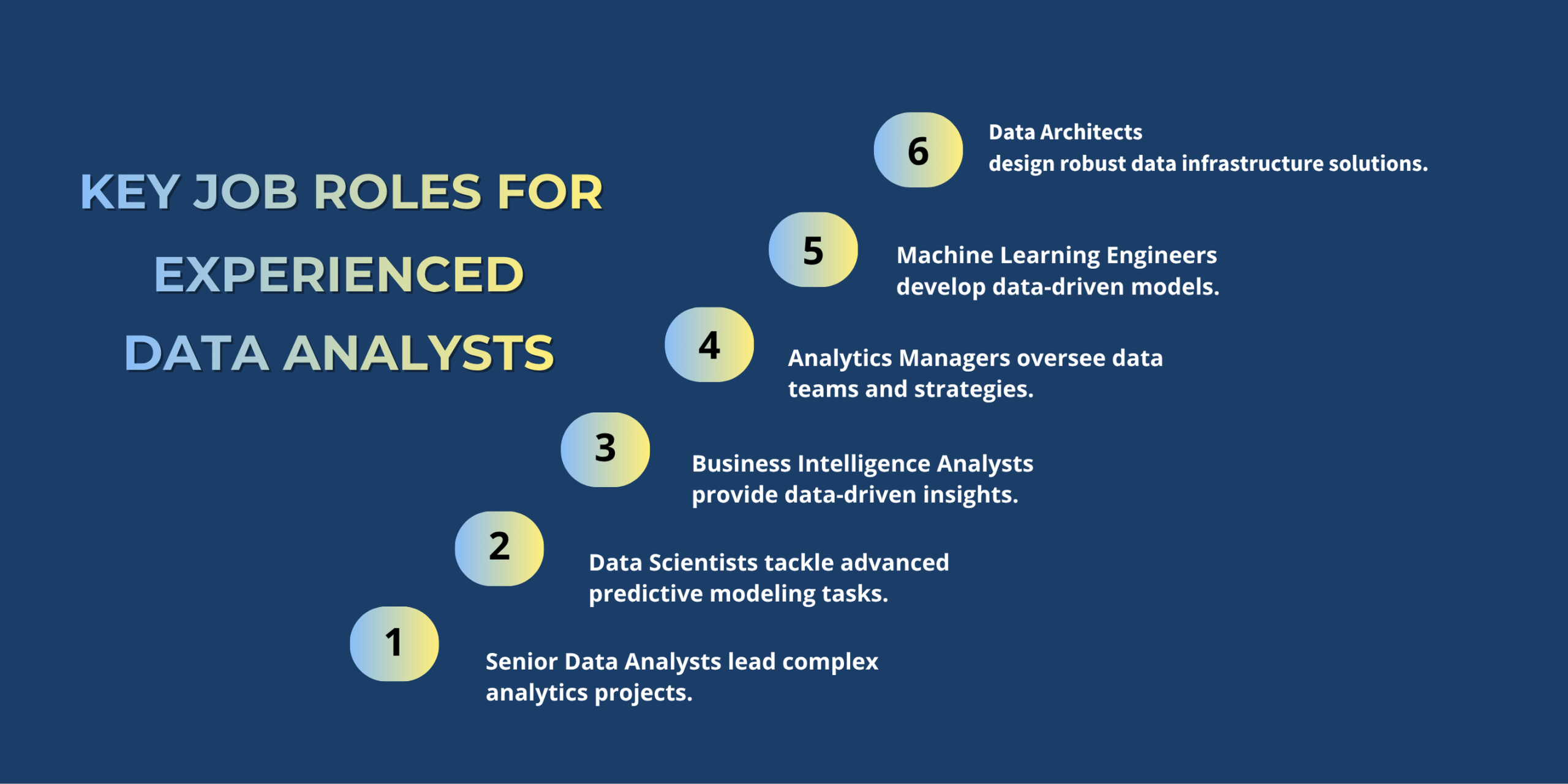 Key Job Roles